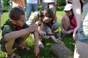 DSC_0737 (Kopiowanie)